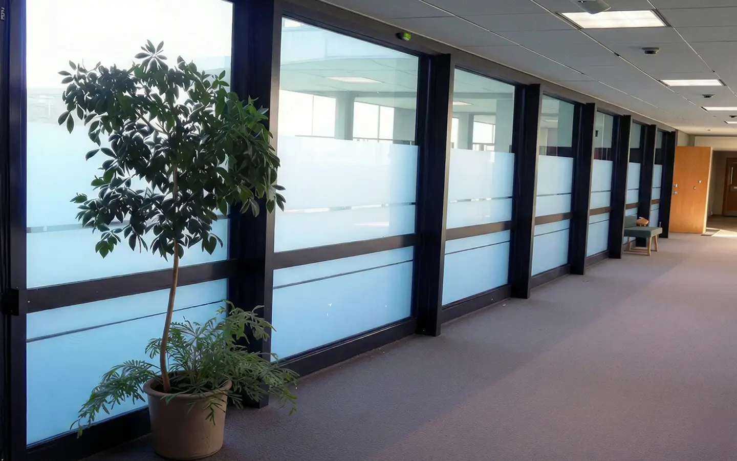 Empavonados SummerGlass